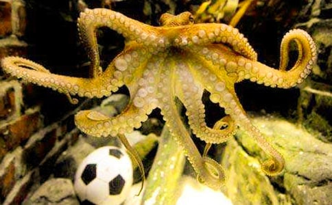 ������g(sh��)�̰����Ԛ�����~