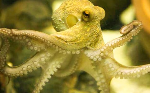 ���~(y��)��