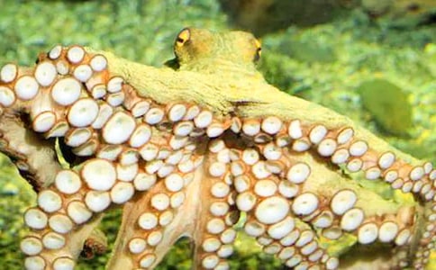 ���~С�����g(sh��)�̰�