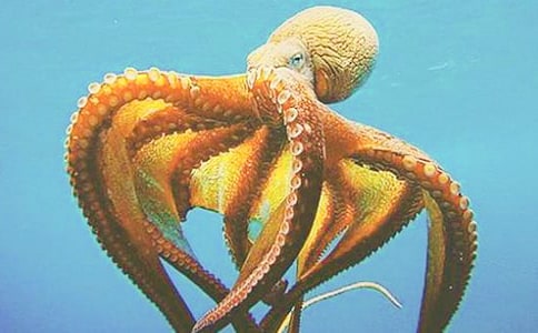 �а����g(sh��)�̰����옷(l��)�����~��