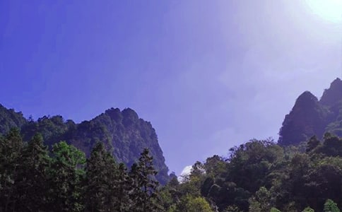 美麗的張家界游記作文