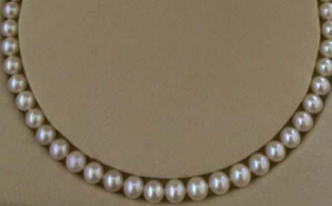 珍珠泉游記作文(4篇)