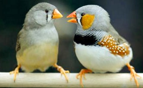 �x�������B���и� 18ƪ