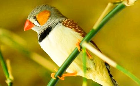 �x�����B�и�