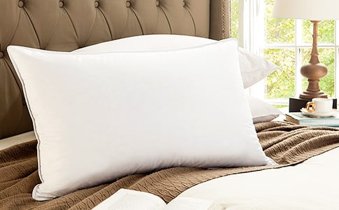 ͯȤ����Ƥ����������(g��)�����^��Ī ������������ˈ�(ch��ng)��(��һֲ��)