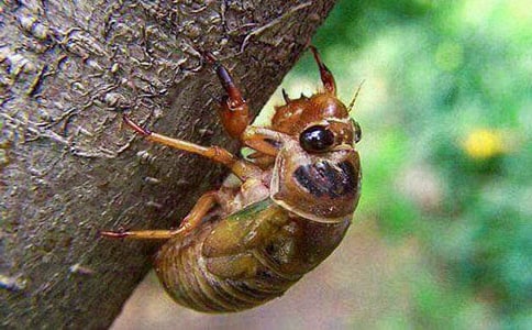 ׽֪��ӛ��(y��u)������