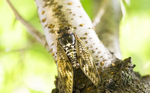 ֪�ˌW(xu��)�w����350��