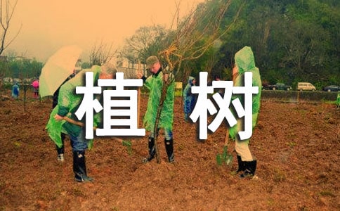 植樹活動(dòng)方案(通用22篇)