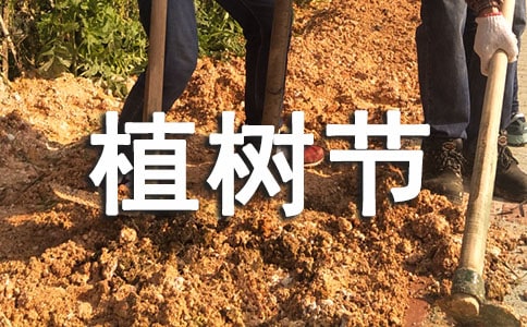 植樹節(jié)倡議書(通用22篇)