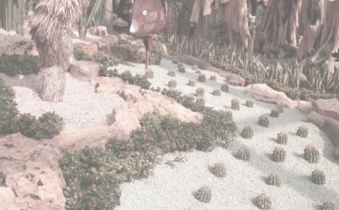 ֲ��@��ӛ���ġ����]��