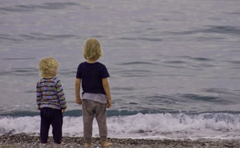 我的沉著冷靜的侄子