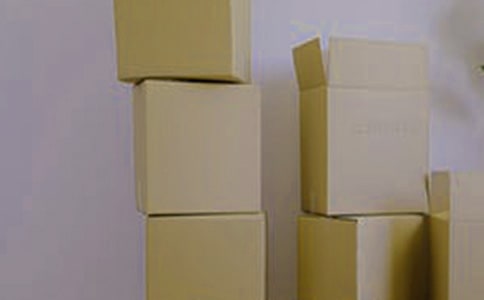 大班游戲教案:紙箱變變玩