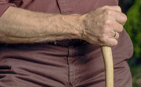 �����꼉�u�Z15ƪ