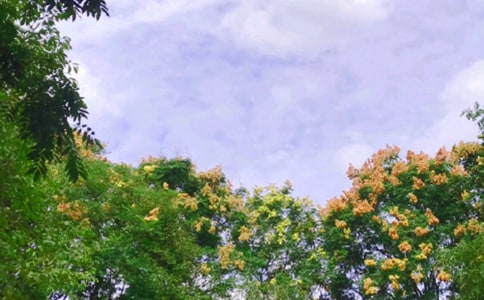 ��������ľ���