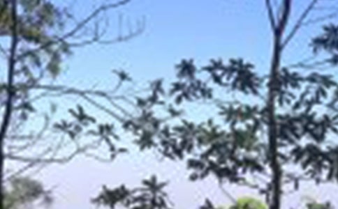 愉快的中午作文