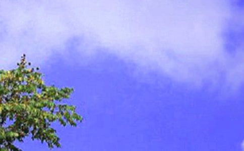 �����Ү�(d��ng)������