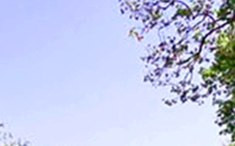 С�W(xu��)�����ģ�����Č�����