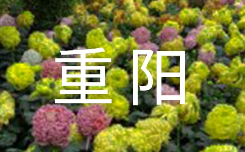 重陽(yáng)佳節(jié)敬老愛(ài)老活動(dòng)方案(通用11篇)