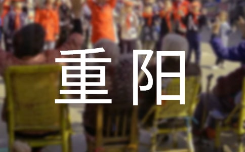 重陽(yáng)佳節(jié)活動(dòng)方案(精選6篇)