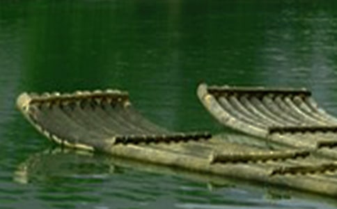 �҂�������������