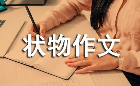 �����T�����꼉(j��)��������300���\����ƪ