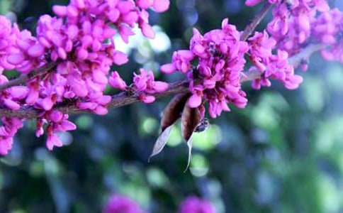 ���G���_(k��i)����