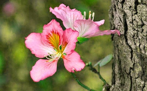 ���᡿���G��������4ƪ