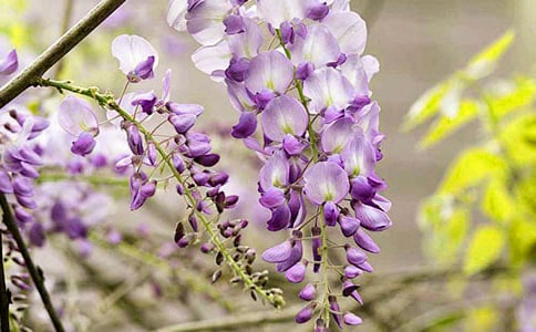 ���ٻ�����[�؂�]