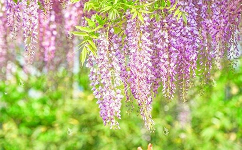 С�����g(sh��)��ָ�����ٻ��̰�15ƪ