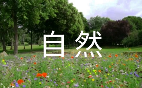 ���c��Ȼ���^���