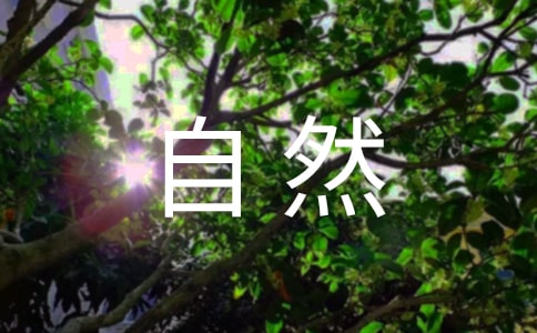 �� (t��ng)��Ȼ��������Ȼ����