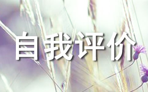 電氣專業(yè)人員自我評價