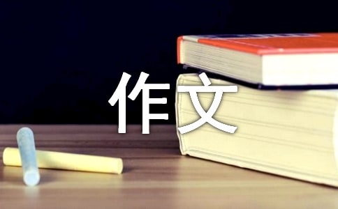 美麗的第一場雪優(yōu)秀作文500字