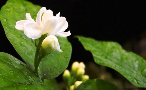 �����_(k��i)����