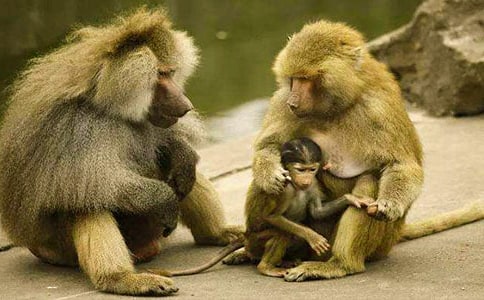 ����������650��