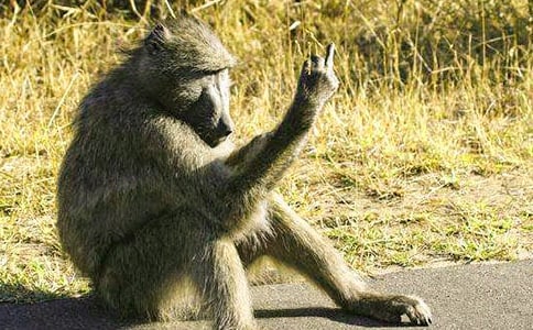 С�W(xu��)���꼉(j��)���ģ�������