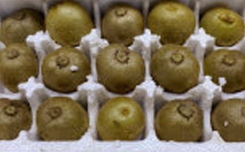 家鄉(xiāng)的獼猴桃作文