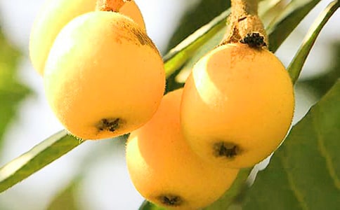 �Ґ�����С�W(xu��)������