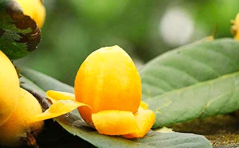 ժ��������(��(y��u)�x)