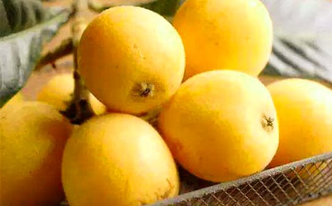 ����ľ��Ƥ�Ĺ�Ч�c���� ˎ�Ãrֵ