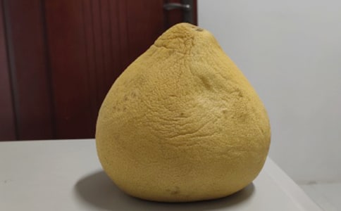 �����ӵ�����