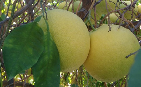 һ����������