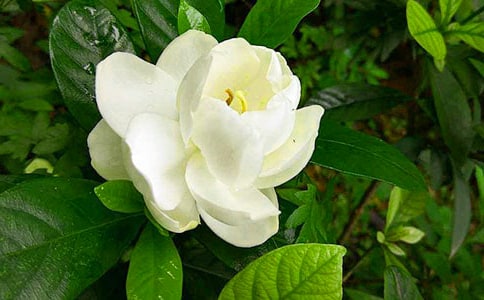 �Ҽҵėd�ӻ�����