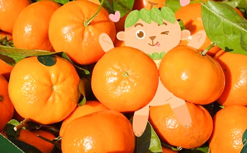 ��ϲ�g����������