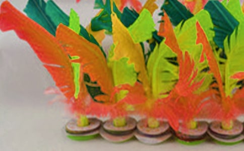 ��W(xu��)������\��(bi��o)ِ���Y(ji��)