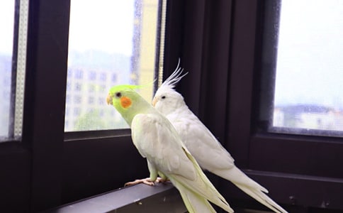 �P(gu��n)�ڻ�Ƥ�W�^������_��������_�P(gu��n)���W�^������