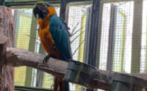 �����W�^