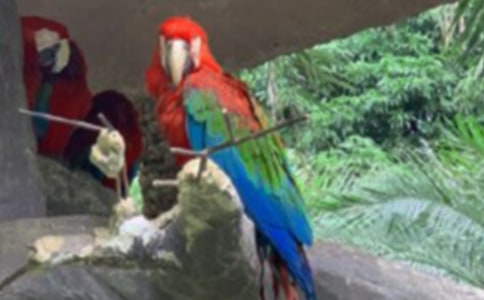 �P(gu��n)���W�^ͯԒ���ĺϼ���ƪ