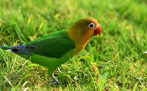 ���Z�����W�^