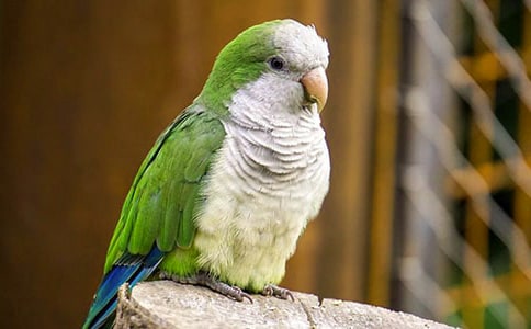 �W�^֮������